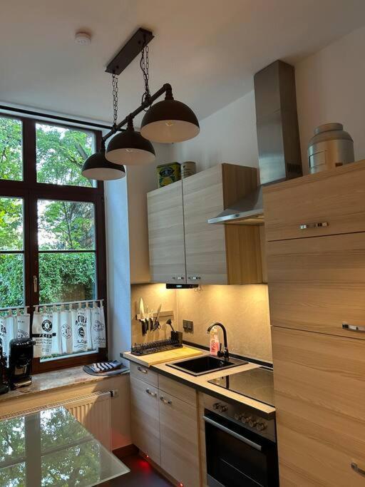 Ruhige Wohnung Im Fabrikstil In شيمنيتز المظهر الخارجي الصورة